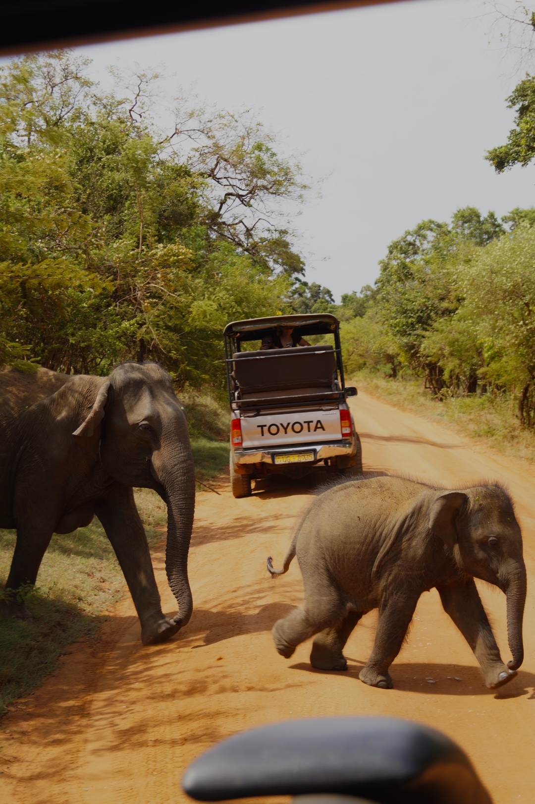 Sara Dal Zotto travel reportage photography