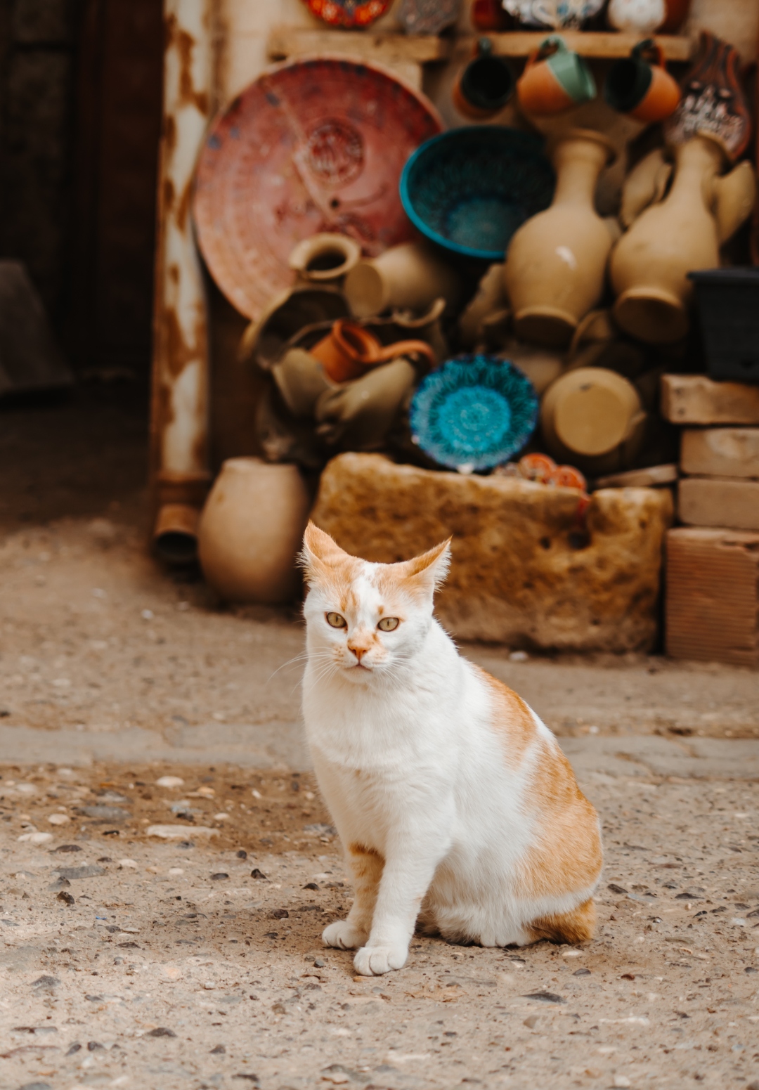 Sara Dal Zotto travel reportage photography